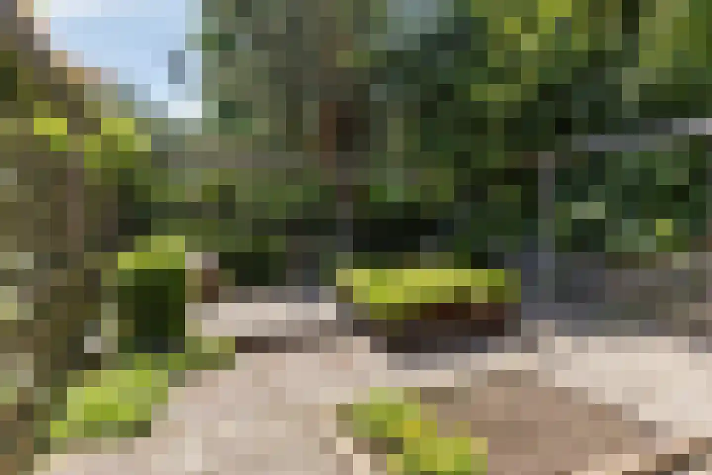 Pastoor Ribberghstraat 3 Valkenburg thumbnail 36