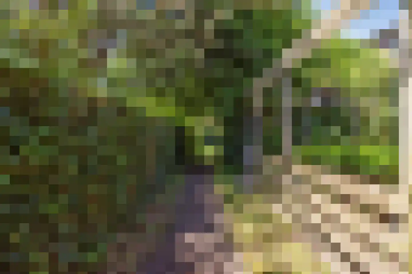 Pastoor Ribberghstraat 3 Valkenburg thumbnail 38