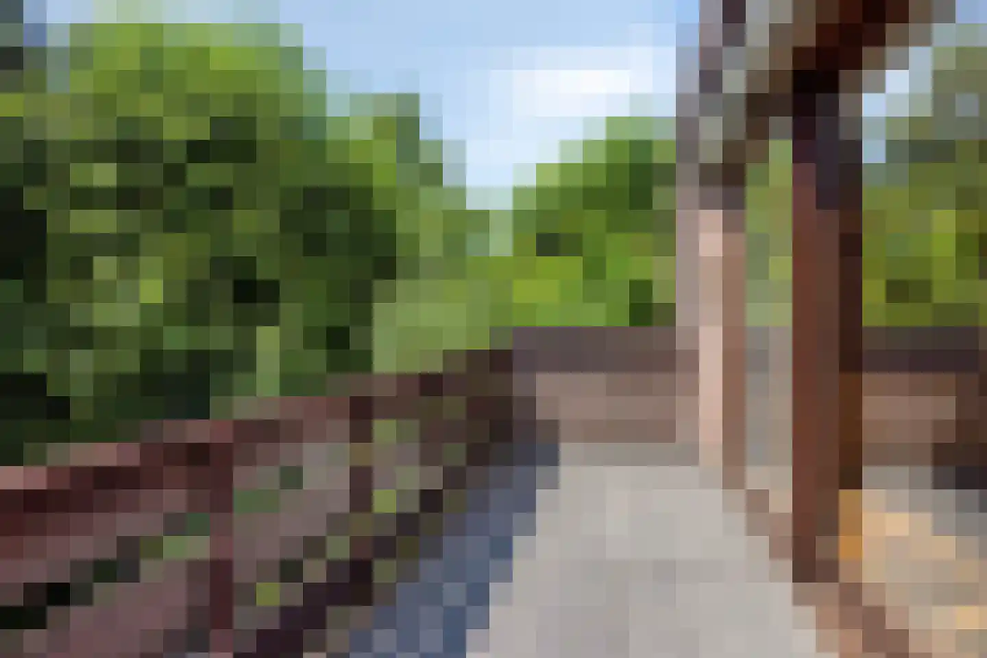 Pastoor Ribberghstraat 3 Valkenburg thumbnail 5