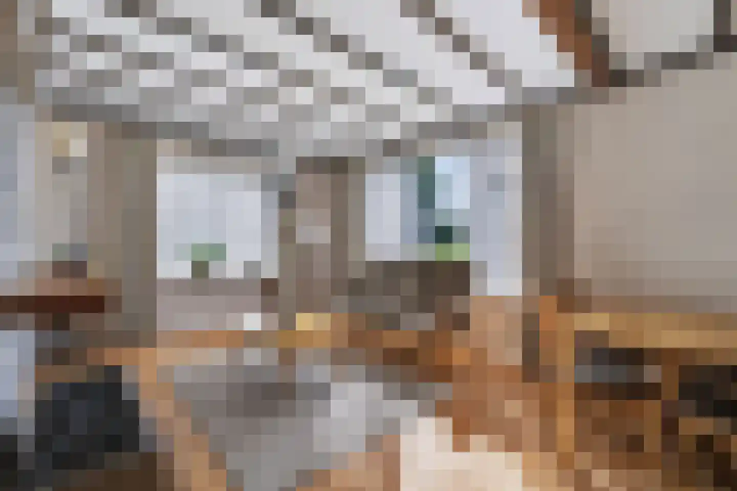 Pastoor Rientjesstraat 33 Hellendoorn thumbnail 15