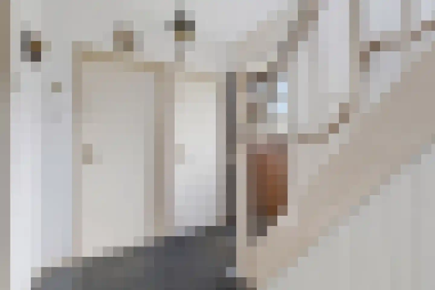 Pastoor Rientjesstraat 33 Hellendoorn thumbnail 23
