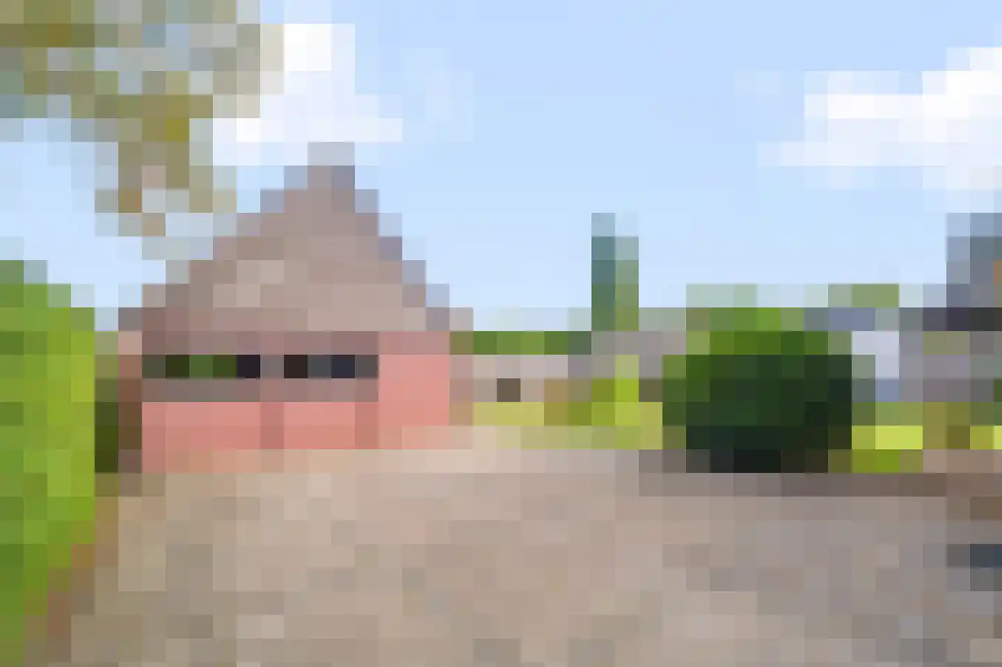 Pastoor Rientjesstraat 33 Hellendoorn thumbnail 32