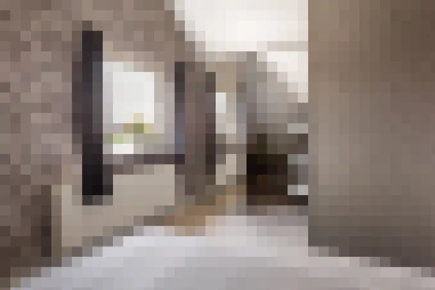 Pastoor Rientjesstraat 35 Hellendoorn thumbnail 16