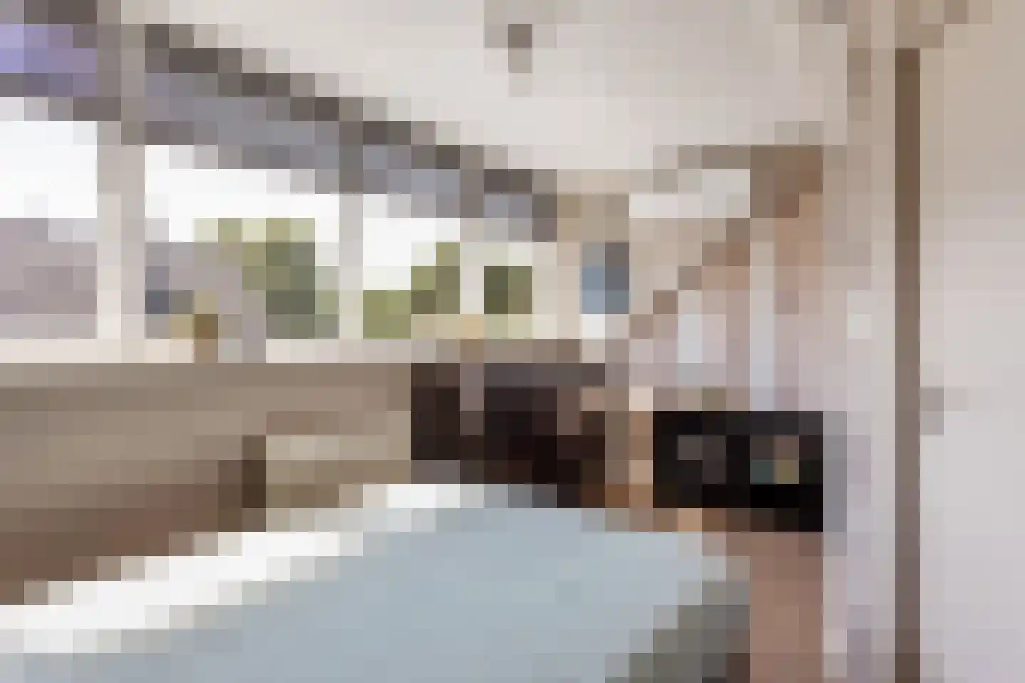 Pastoor Rientjesstraat 35 Hellendoorn thumbnail 17