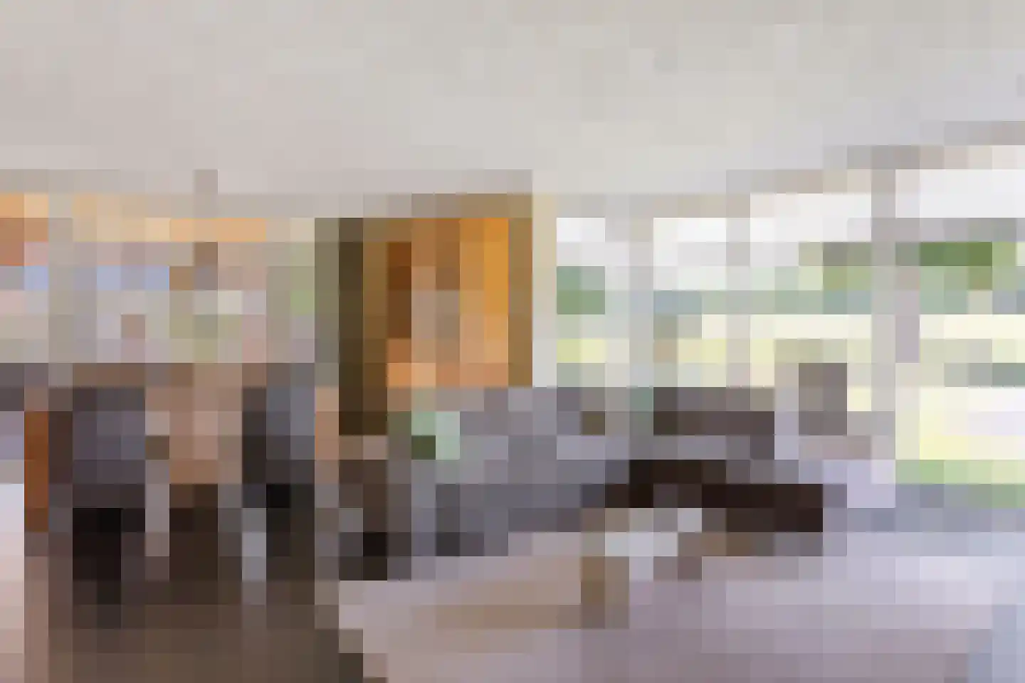 Pastoor Rientjesstraat 35 Hellendoorn thumbnail 8