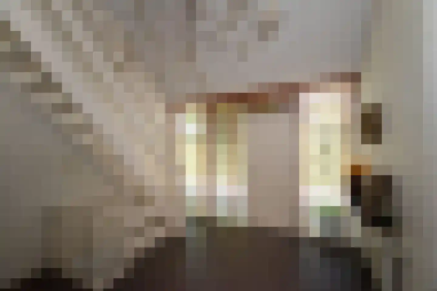 Pastoor Rientjesstraat 5 Hellendoorn thumbnail 21