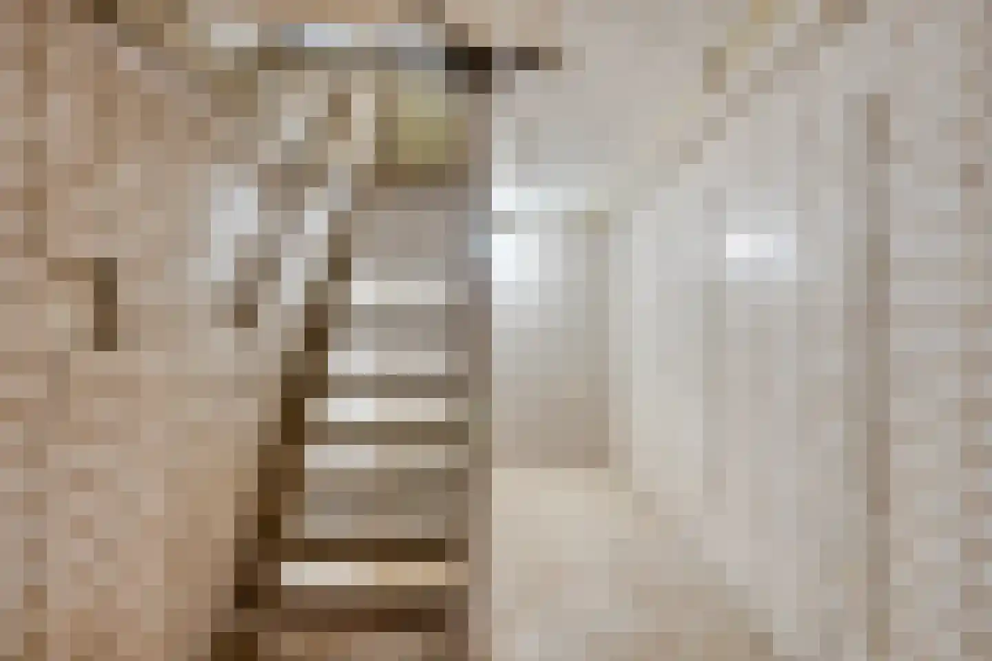 Pastoor Rijckxstraat 7 Montfort thumbnail 21