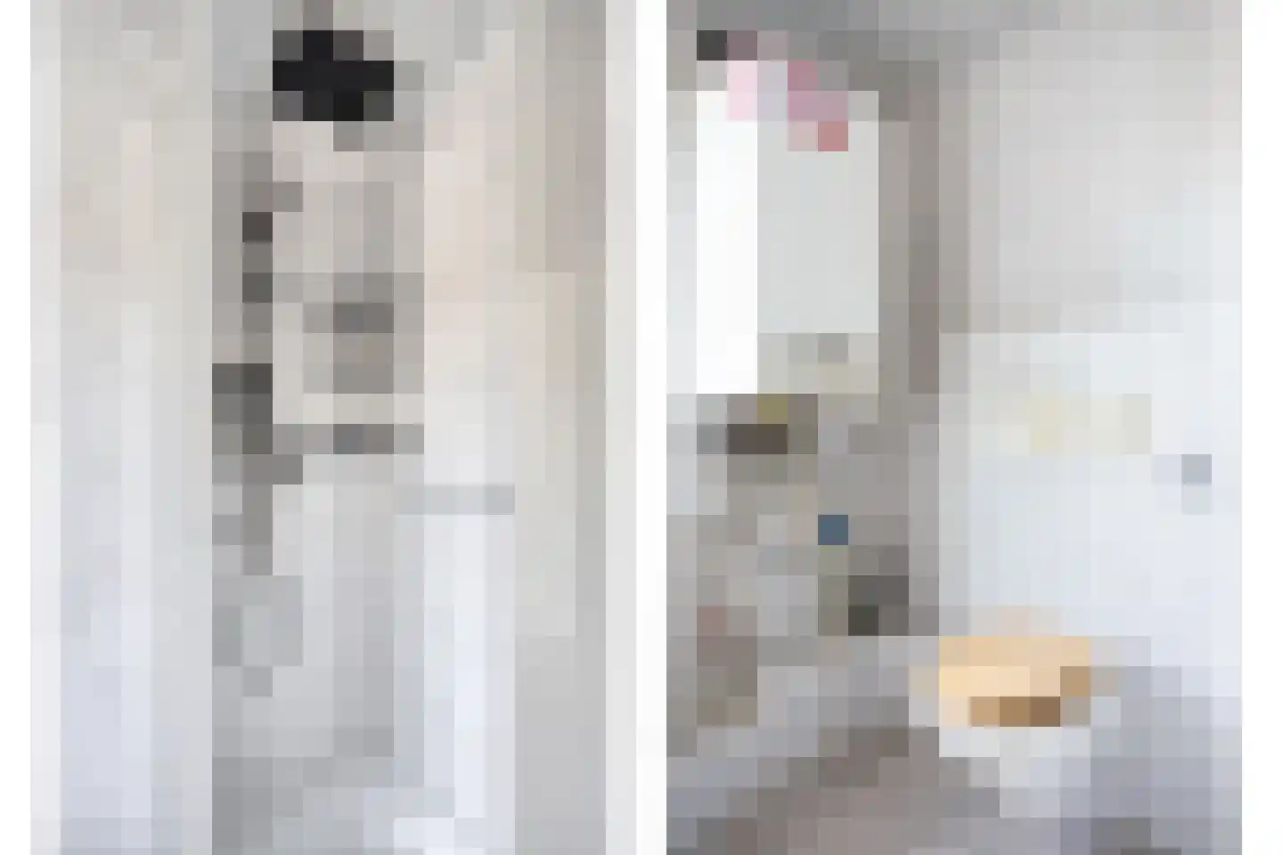 Pastoor Rijckxstraat 7 Montfort thumbnail 27