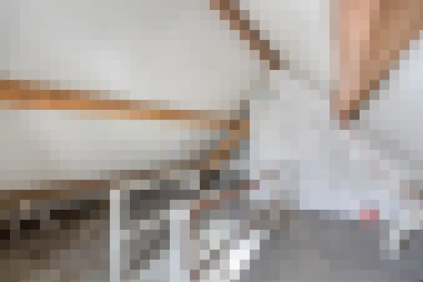 Pastoor Rijckxstraat 7 Montfort thumbnail 32