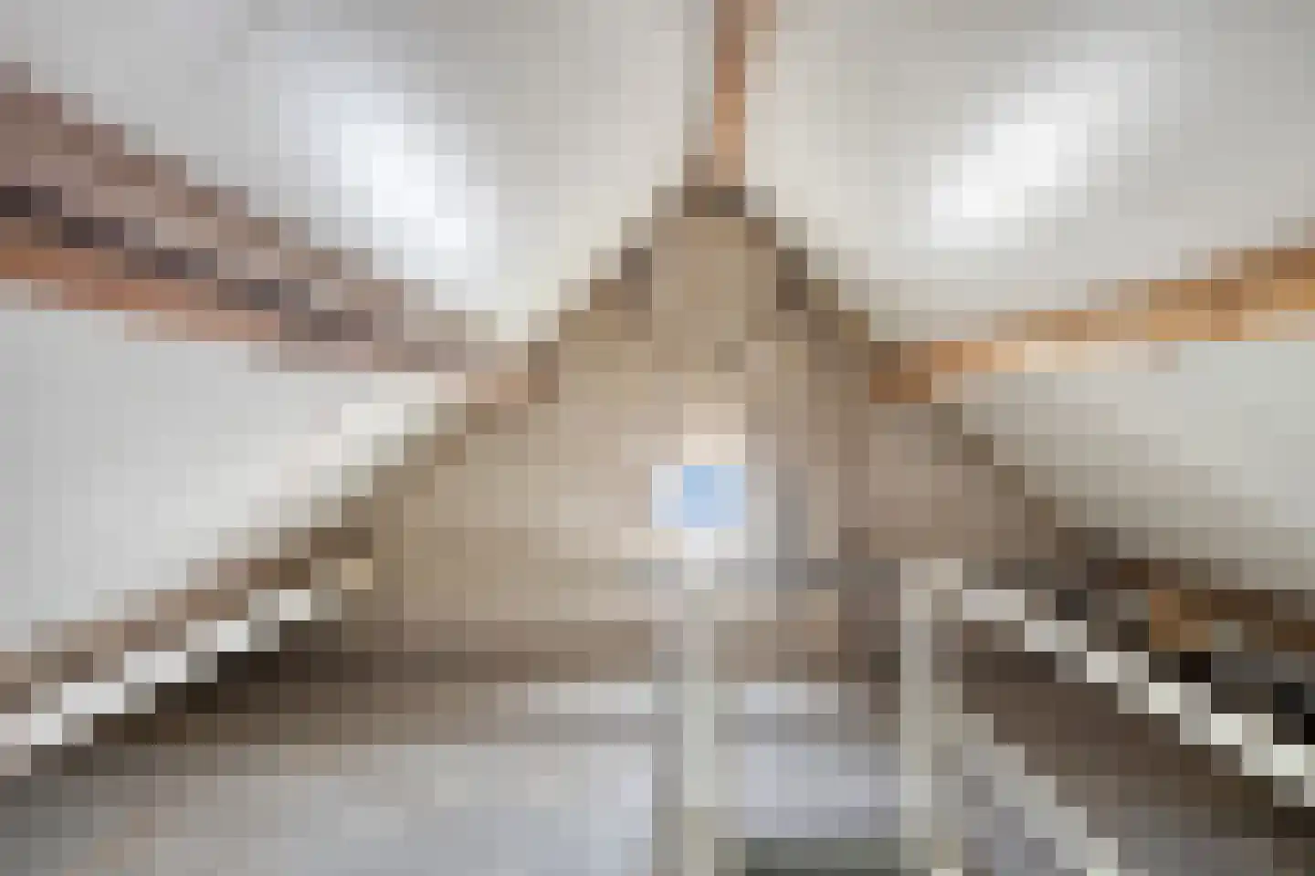 Pastoor Rijckxstraat 7 Montfort thumbnail 33