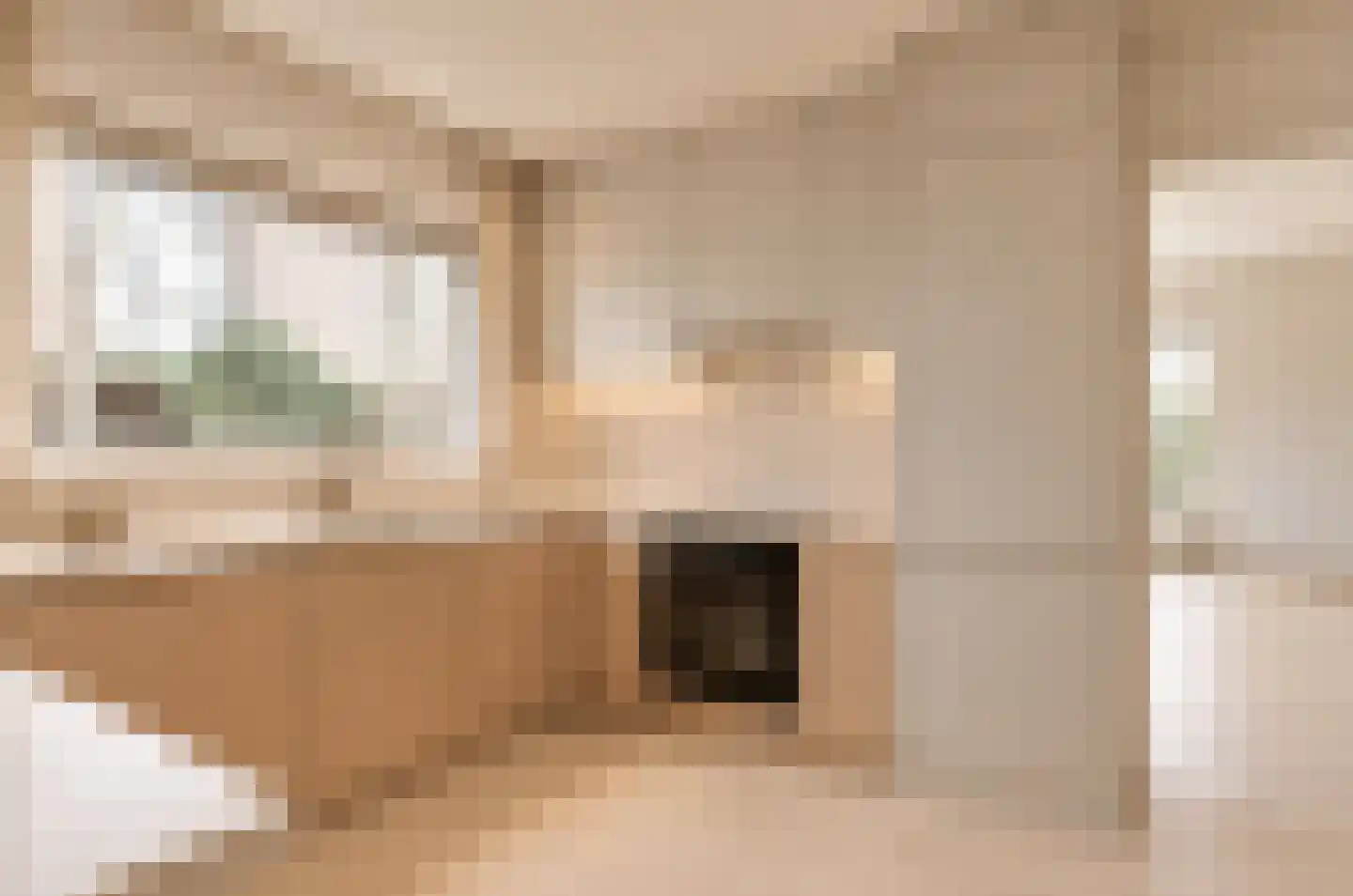 Pastoor Rijnderslaan 6 Reuver thumbnail 13
