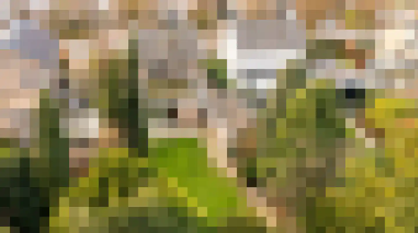Pastoor Rijnderslaan 6 Reuver thumbnail 23