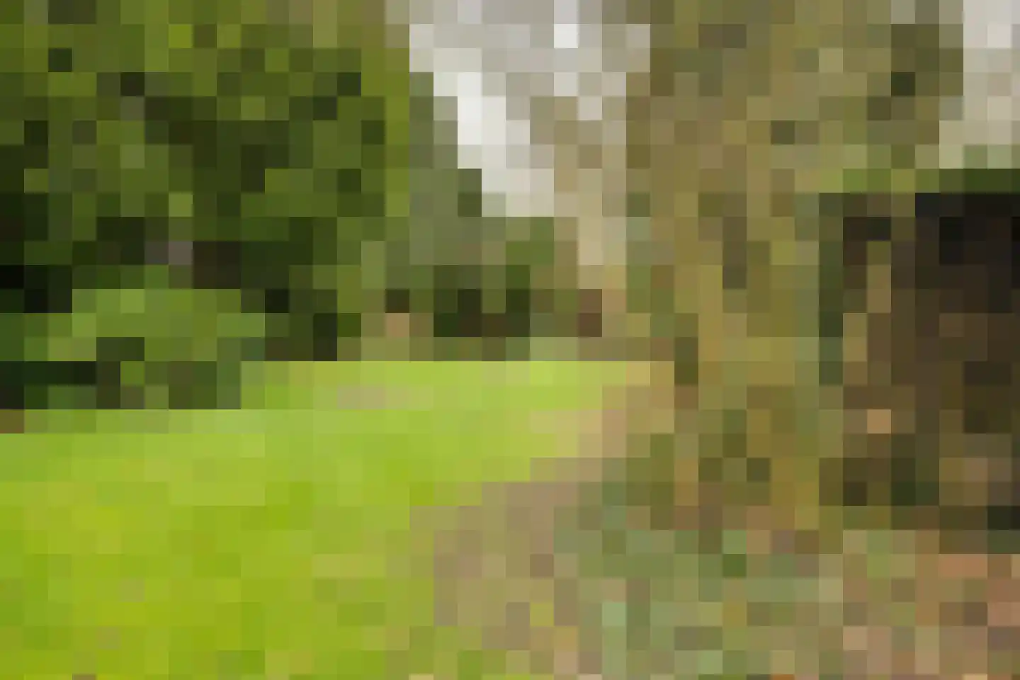 Pastoor Rijnderslaan 6 Reuver thumbnail 24