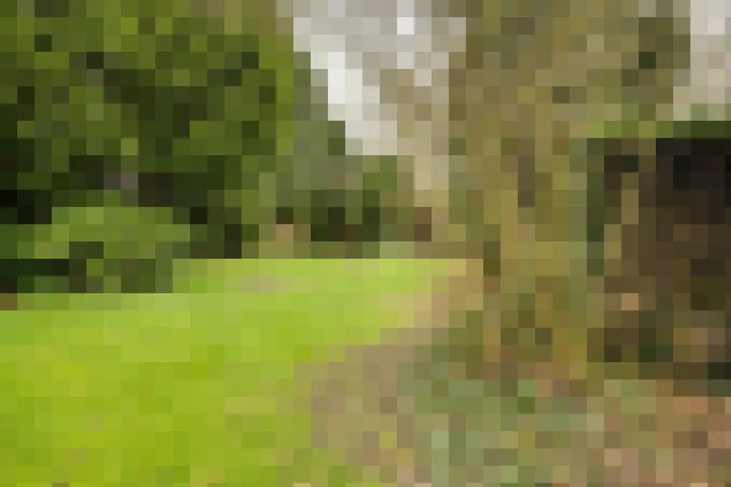 Pastoor Rijnderslaan 6 Reuver thumbnail 24