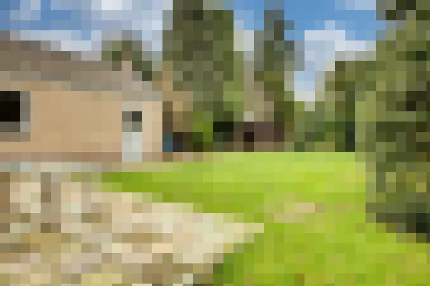 Pastoor Rijnderslaan 6 Reuver thumbnail 29