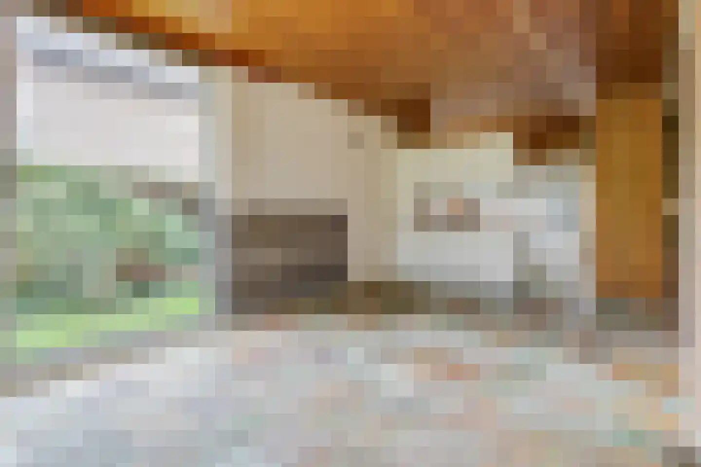 Pastoor Rijnderslaan 6 Reuver thumbnail 9
