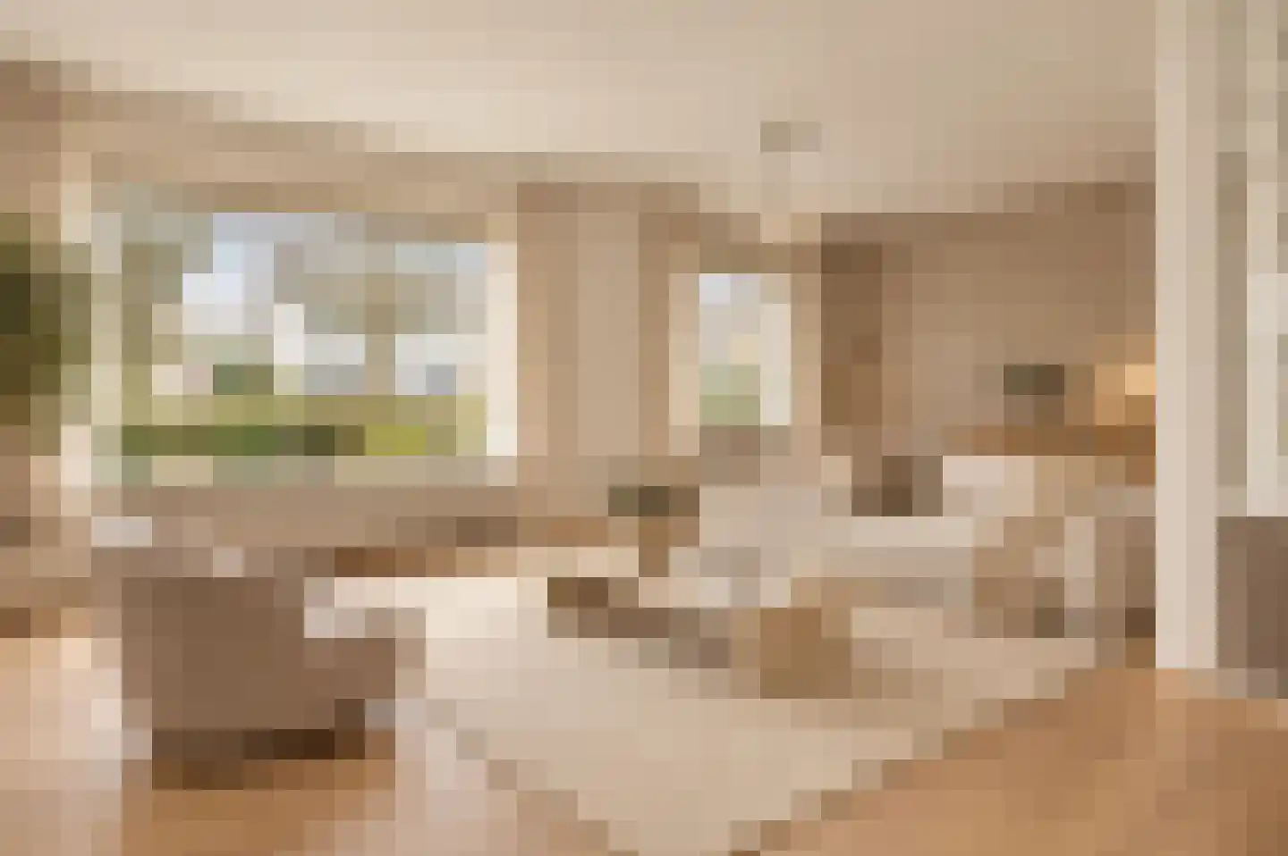 Pastoor Rijnderslaan 6 Reuver thumbnail 9