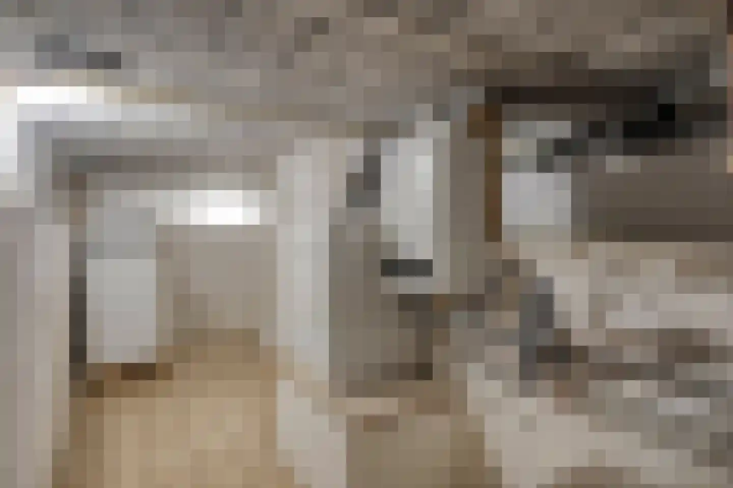Pastoor Rohsstraat 14 Banholt thumbnail 22