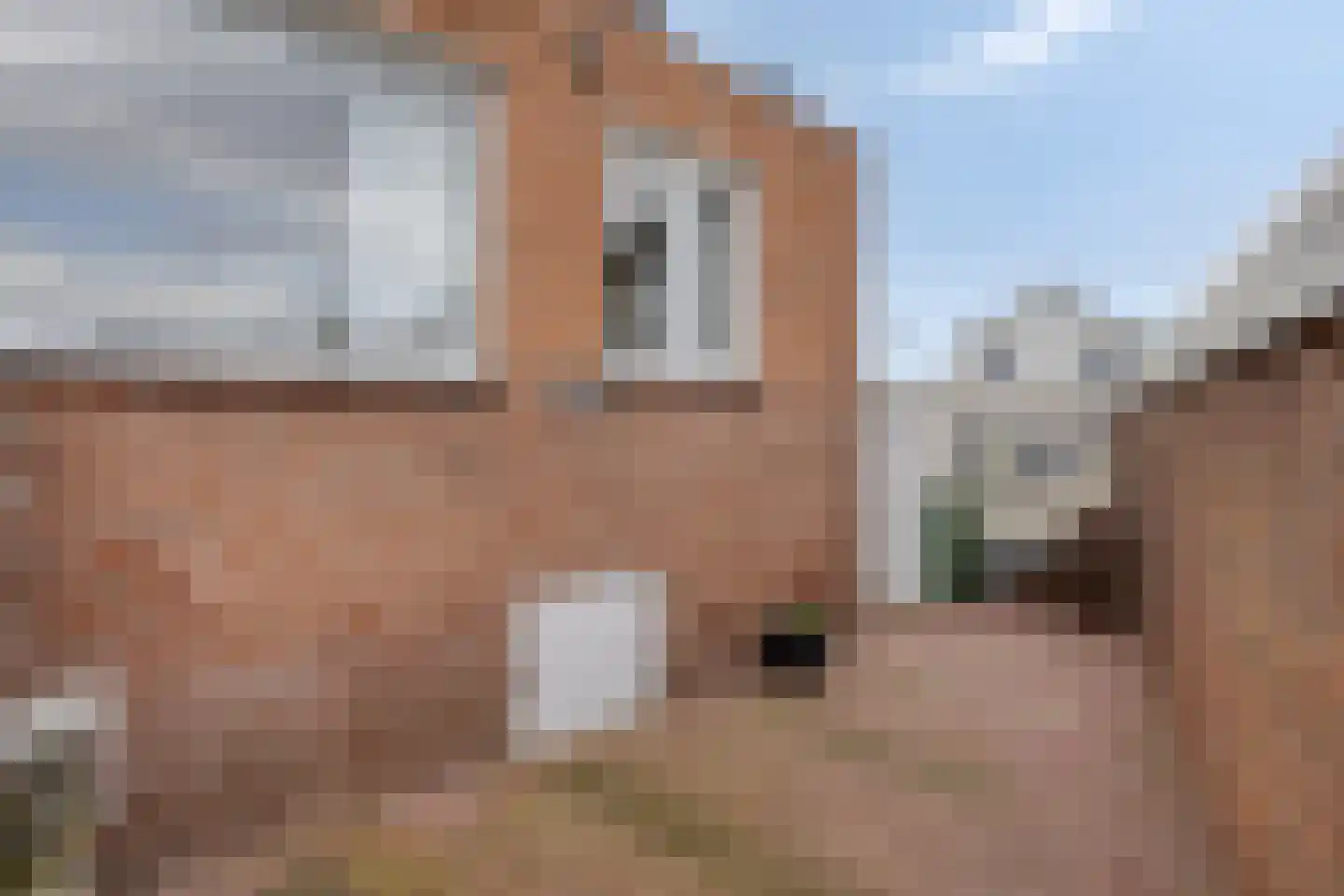 Pastoor Rohsstraat 14 Banholt thumbnail 26