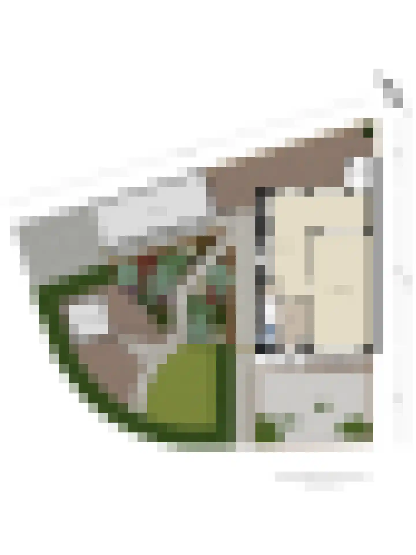 Pastoor Rohsstraat 14 Banholt thumbnail 30