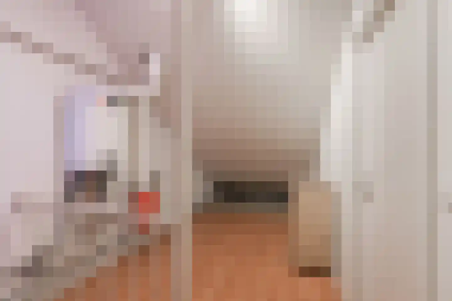 Pastoor Rölingstraat 35 Gaanderen thumbnail 35