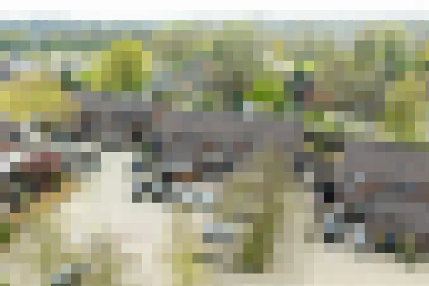 Pastoor Rölingstraat 35 Gaanderen thumbnail 7