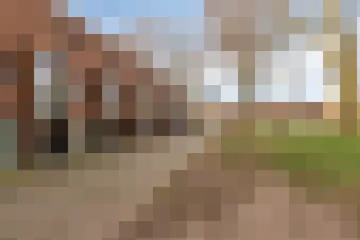 Pastoor Ruttenstraat 13 Venray thumbnail 4