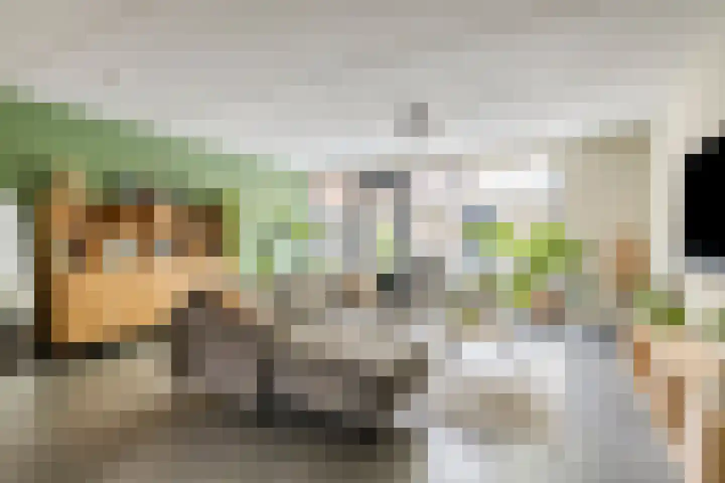 Pastoor Ruttenstraat 15 Venray thumbnail 5
