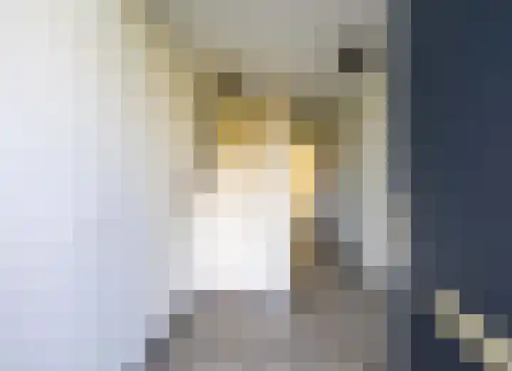Pastoor Ruttenstraat 3 Venray thumbnail 6
