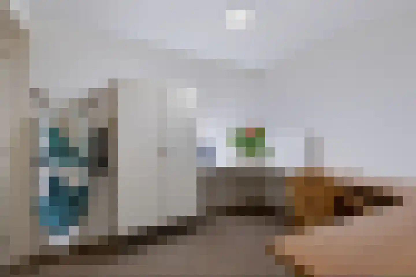 Pastoor Sandersstraat 1 01 Lichtenvoorde thumbnail 31