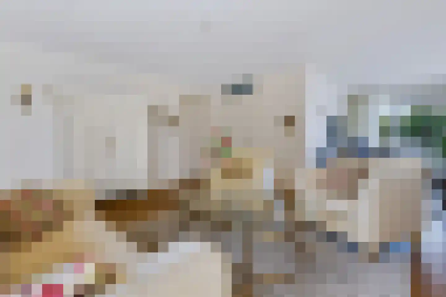 Pastoor Sandersstraat 1 01 Lichtenvoorde thumbnail 5