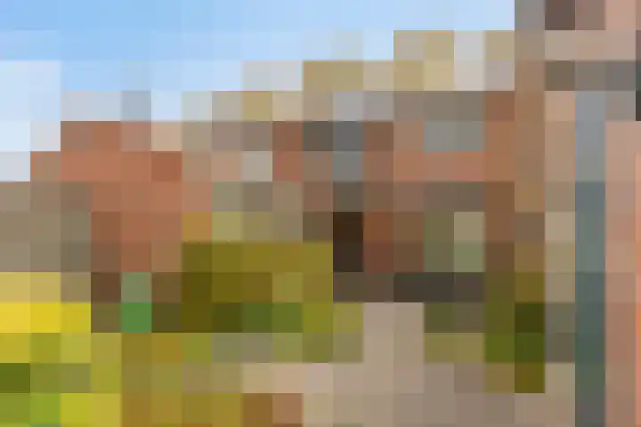 Pastoor Sandersstraat 19 Lichtenvoorde thumbnail 34