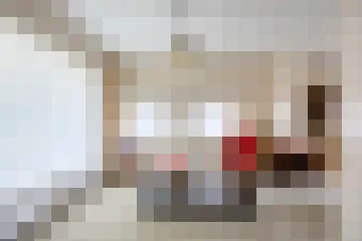Pastoor Sandersstraat 19 Lichtenvoorde thumbnail 9