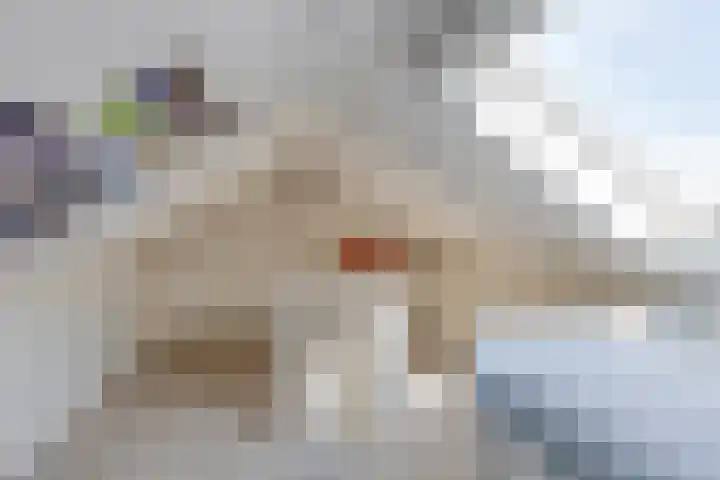Pastoor Sandersstraat 34 Lichtenvoorde thumbnail 30