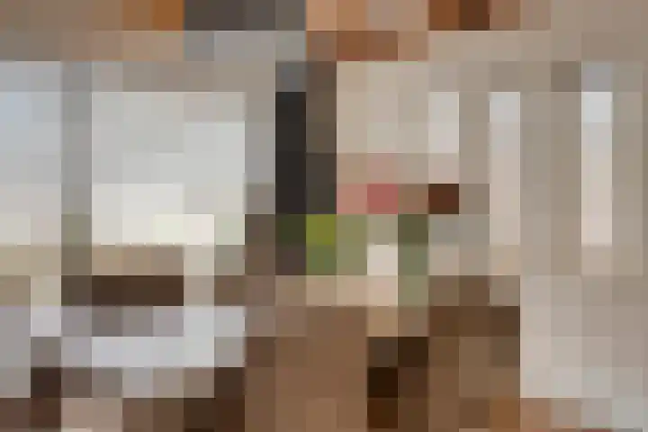 Pastoor Santfoortstraat 7 Gemert thumbnail 20