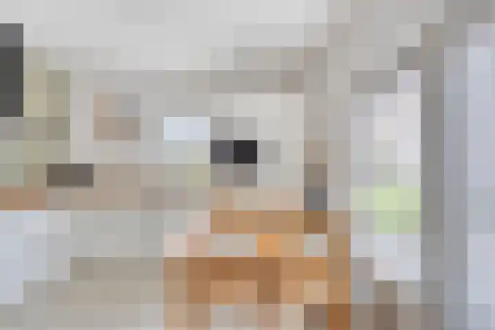 Pastoor Santfoortstraat 7 Gemert thumbnail 22