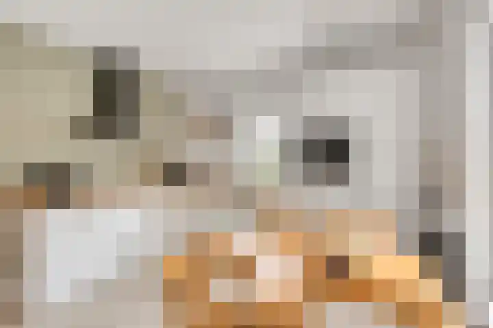Pastoor Santfoortstraat 7 Gemert thumbnail 23