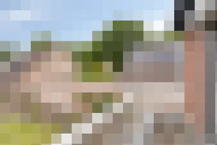 Pastoor Santfoortstraat 7 Gemert thumbnail 29
