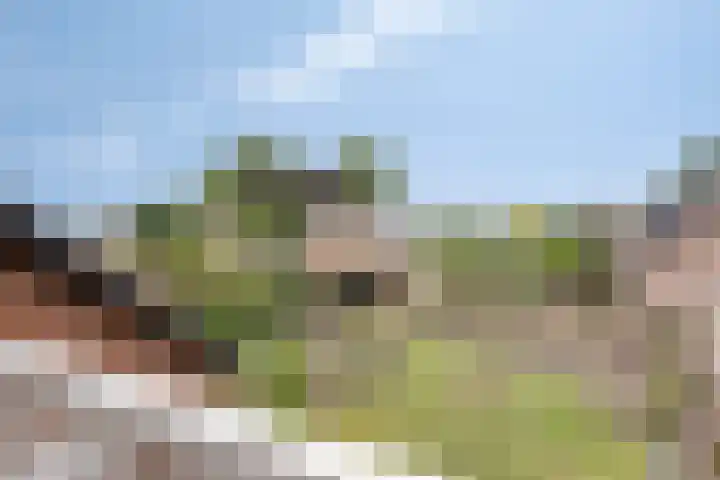 Pastoor Santfoortstraat 7 Gemert thumbnail 30