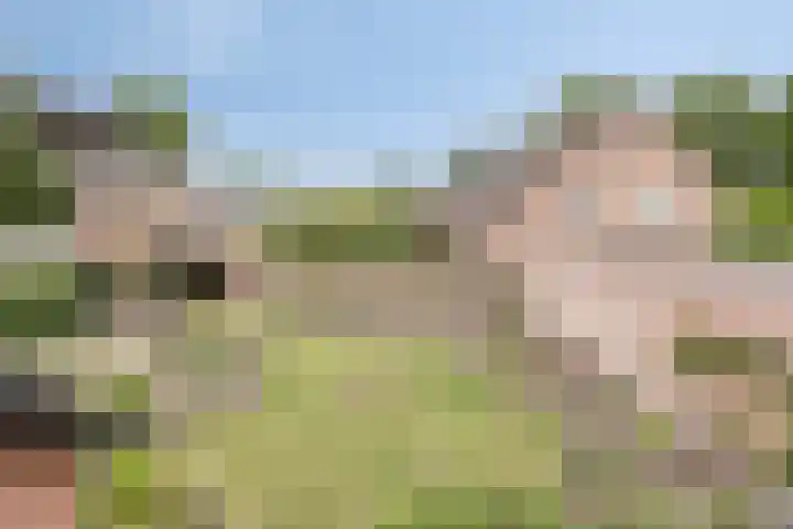 Pastoor Santfoortstraat 7 Gemert thumbnail 31