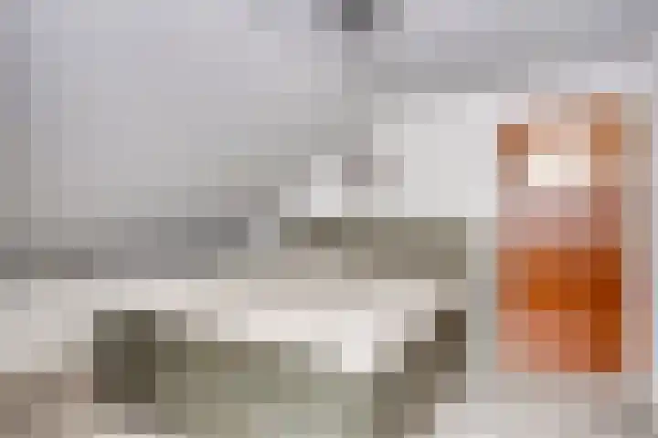 Pastoor Santfoortstraat 7 Gemert thumbnail 33