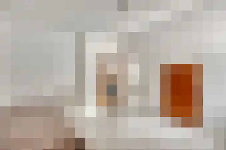 Pastoor Santfoortstraat 7 Gemert thumbnail 34