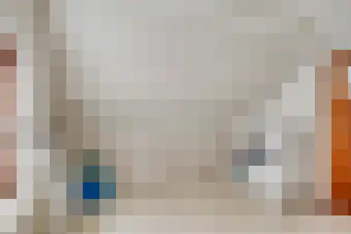 Pastoor Santfoortstraat 7 Gemert thumbnail 38