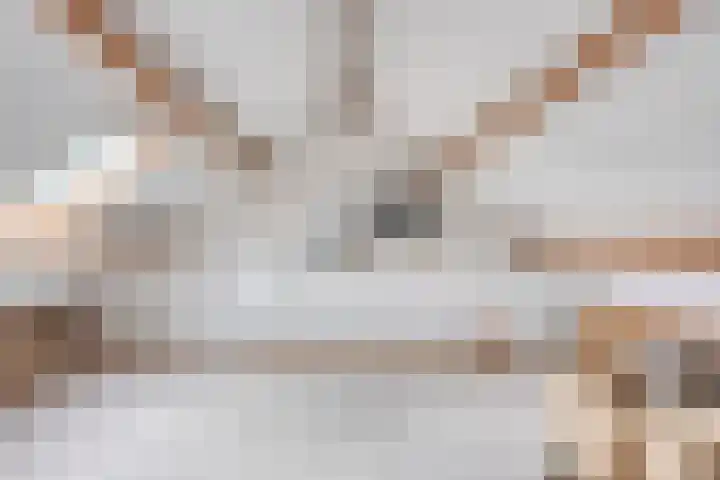 Pastoor Santfoortstraat 7 Gemert thumbnail 41