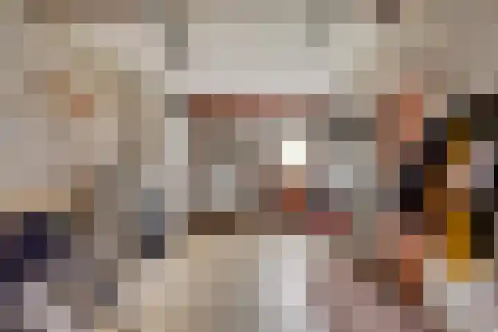 Pastoor Santfoortstraat 7 Gemert thumbnail 43