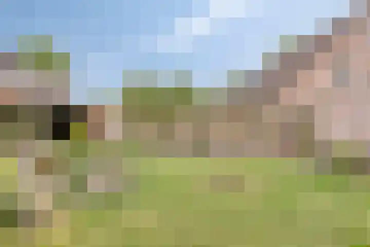 Pastoor Santfoortstraat 7 Gemert thumbnail 46