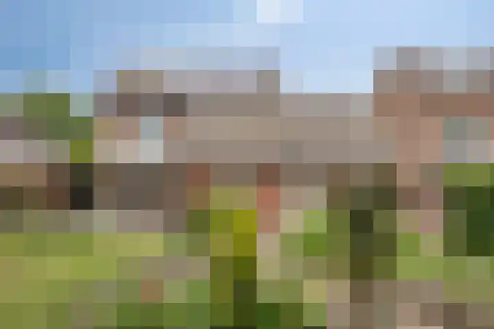 Pastoor Santfoortstraat 7 Gemert thumbnail 48