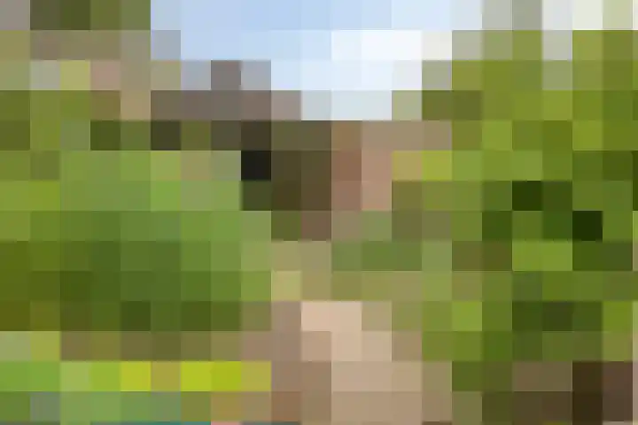 Pastoor Santfoortstraat 7 Gemert thumbnail 51