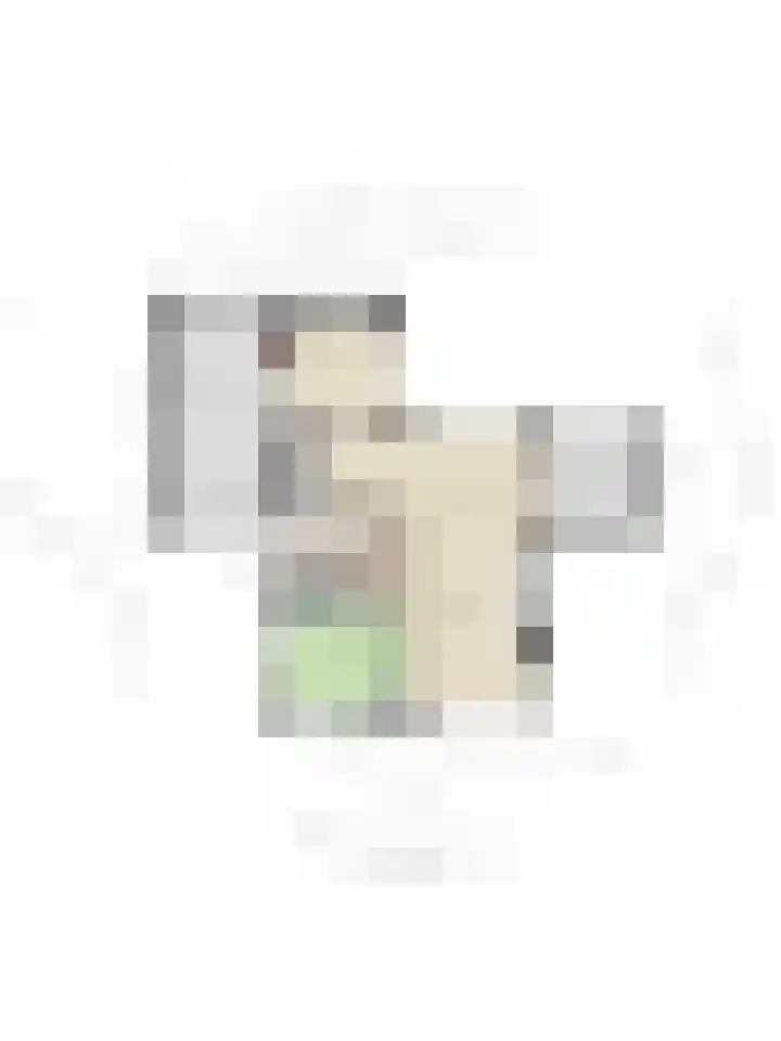 Pastoor Santfoortstraat 7 Gemert thumbnail 55