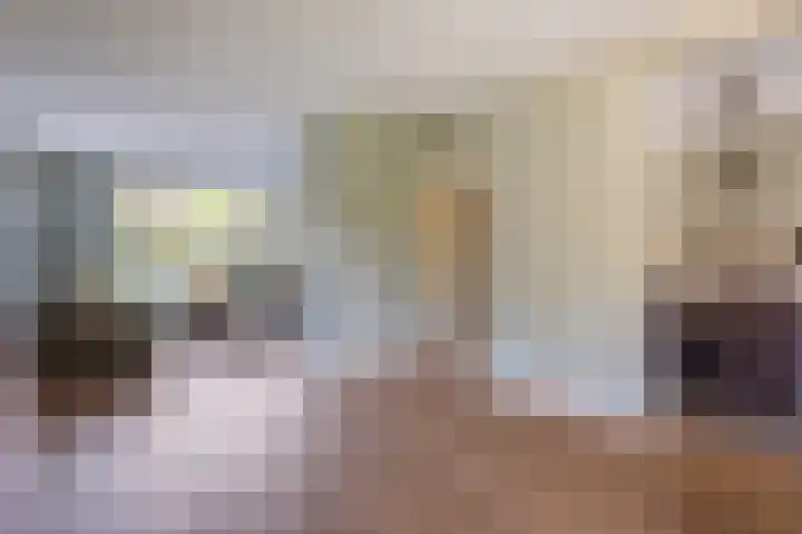Pastoor Santfoortstraat 9 Gemert thumbnail 11